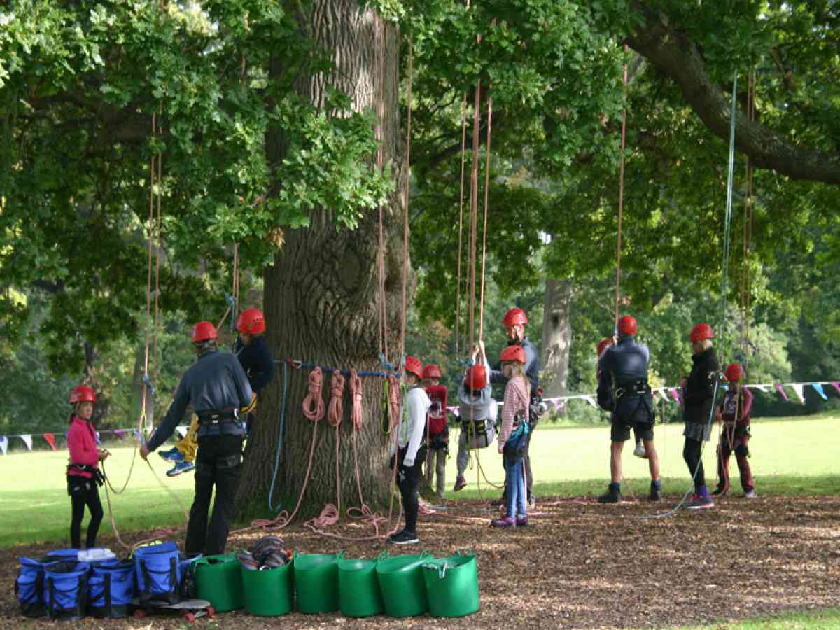 Goodleaf Tree Climbing picture gallery